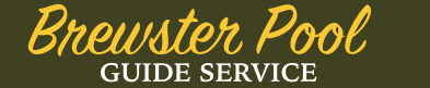 Brewster Pool Guide Service